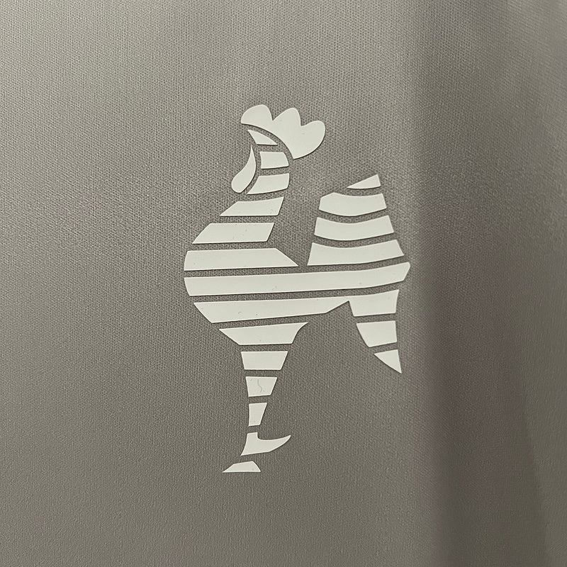 Trikot 24/25 Mineiro Sporttrainingsanzug