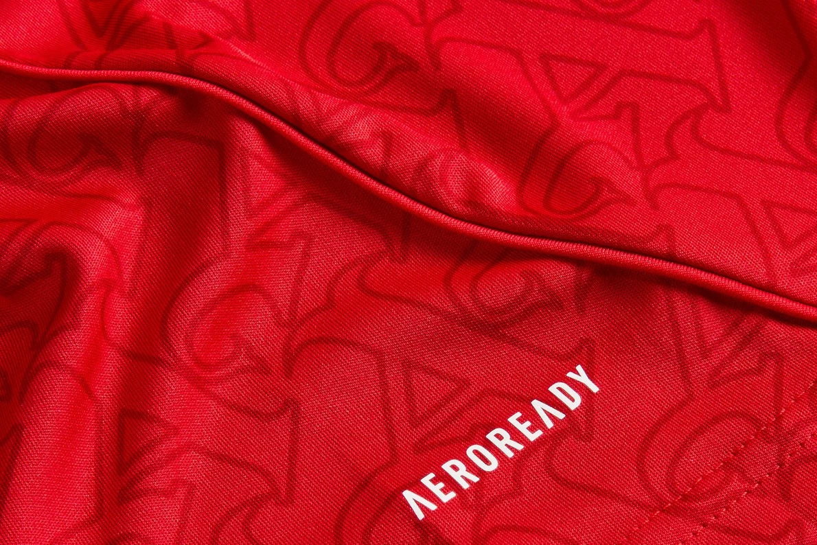 Jersey Arsenal 25/26 Home I Red