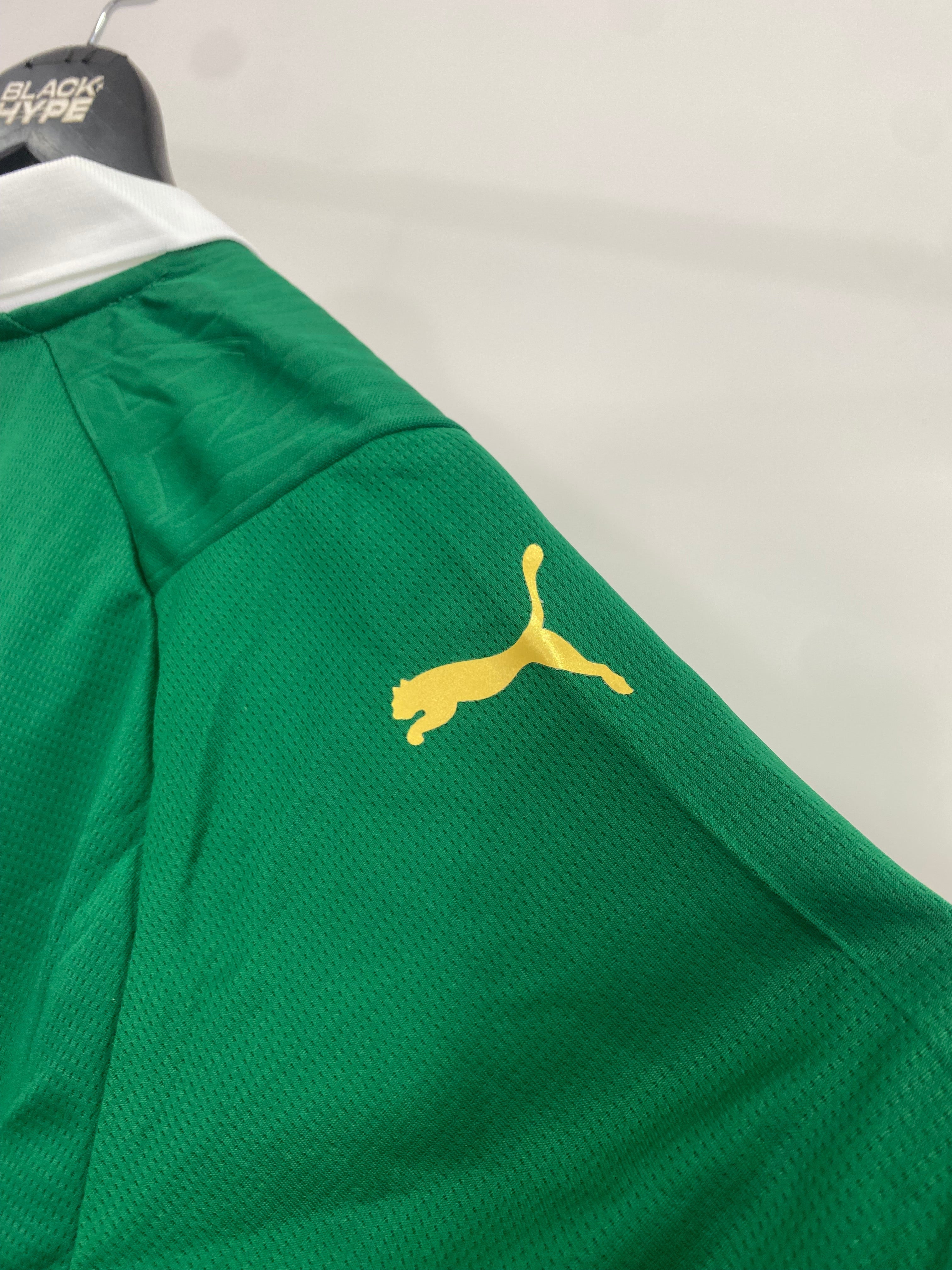 Jersey do Palmeiras Home 24/25 s/n° Torcedor Masculino - Verde