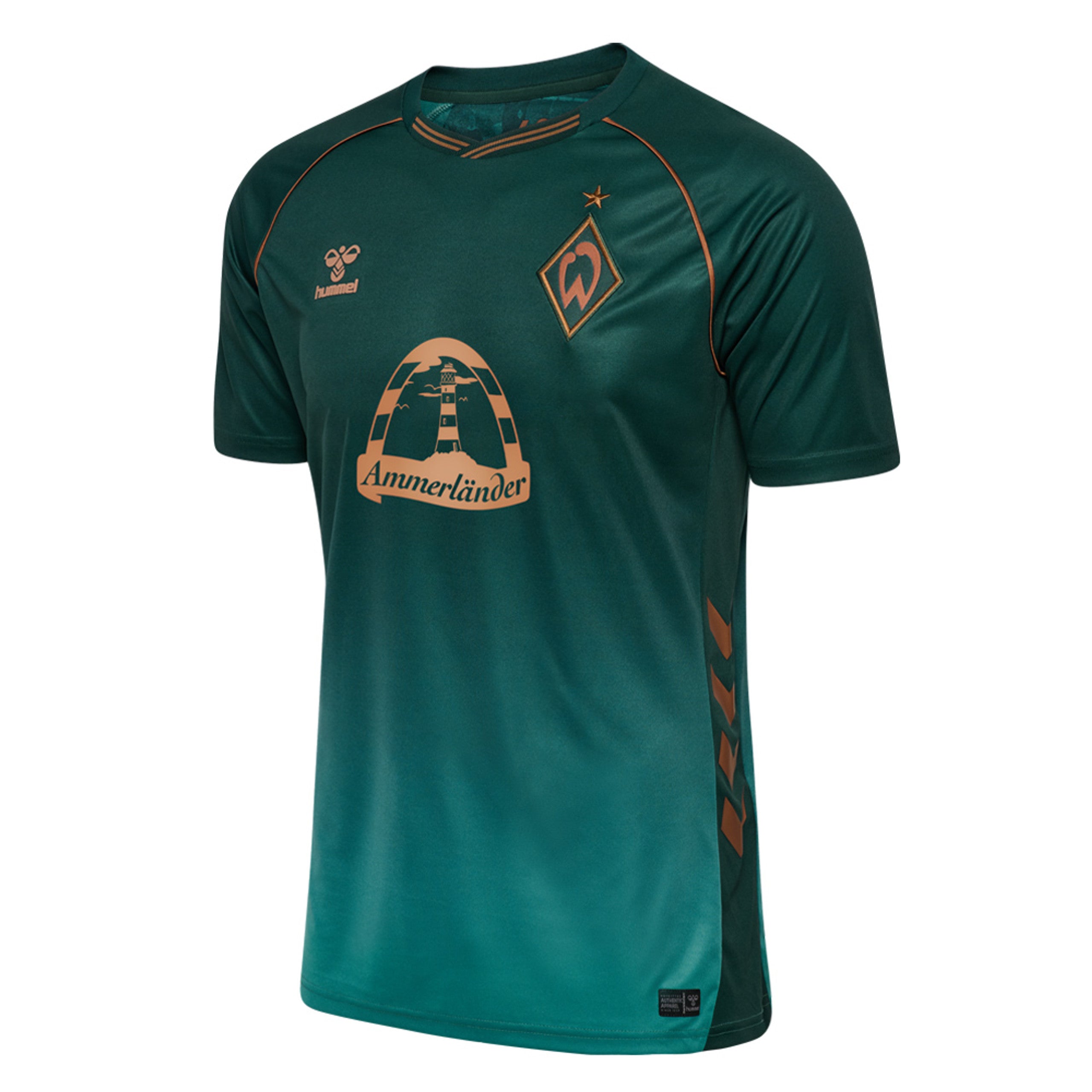 Trikot Feminina Werder Bremen 25/26 Dritter