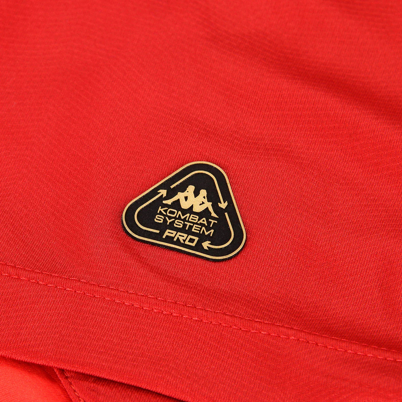 Jersey Fiorentina 24/25 Third