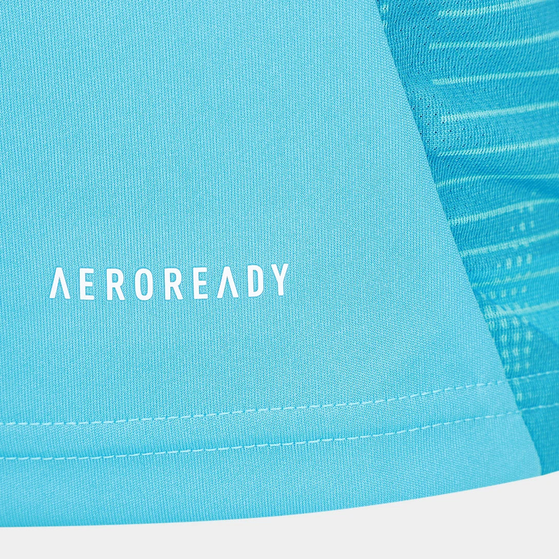 Trikot Flamengo Treino 25/26 Azul e Vermelho