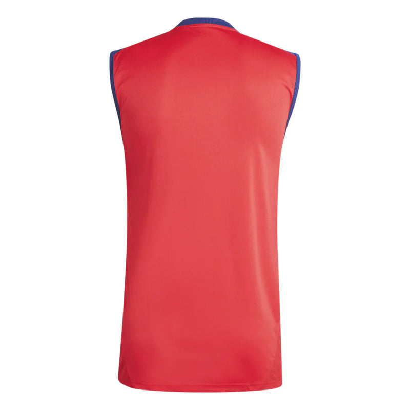 Jersey España Entrenamiento Sin Mangas 2025