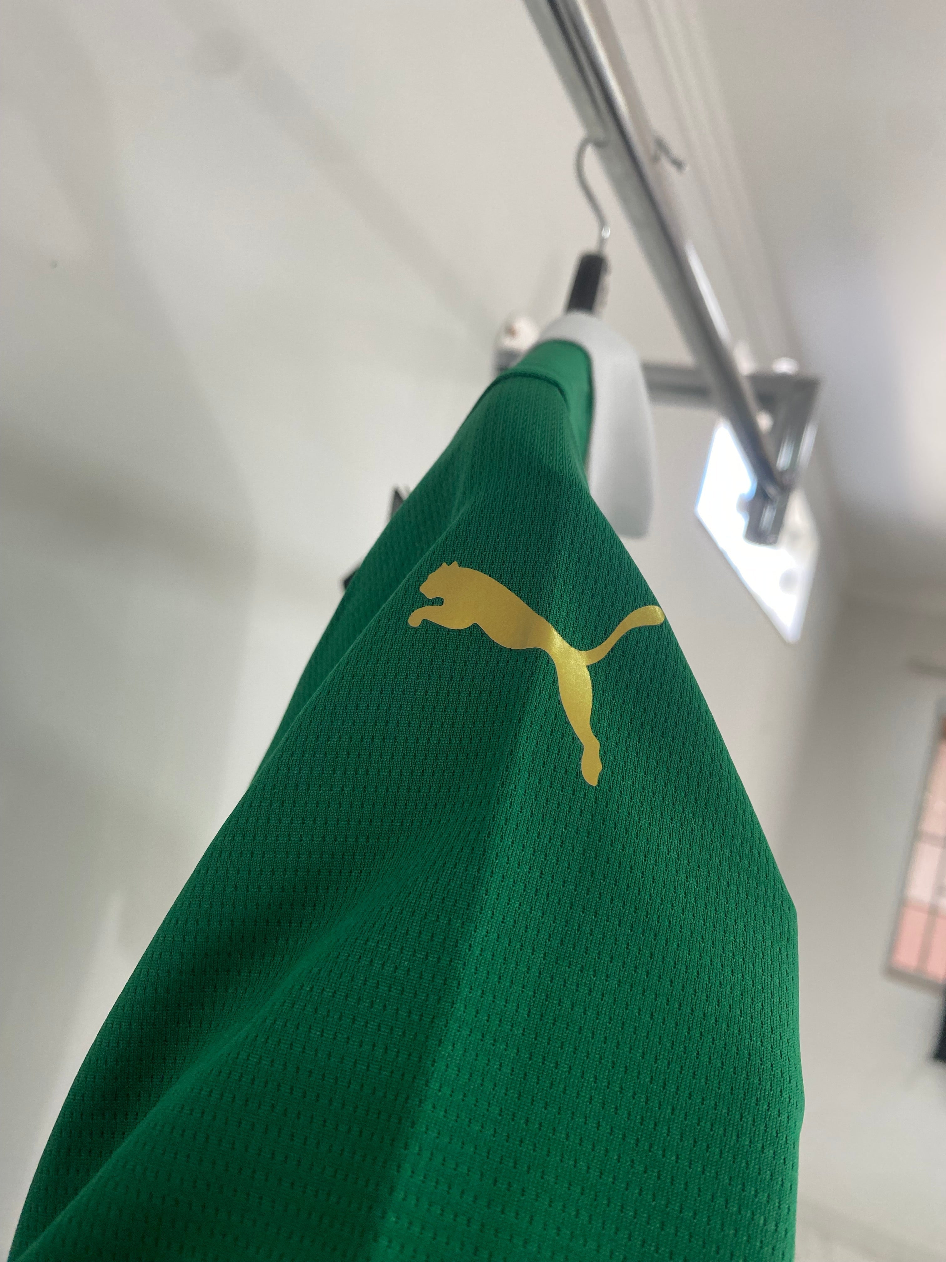 Jersey do Palmeiras Home 24/25 s/n° Torcedor Masculino - Verde