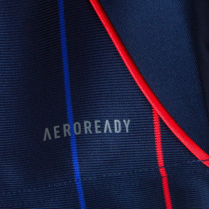 Jersey Lyon 25/26 Away