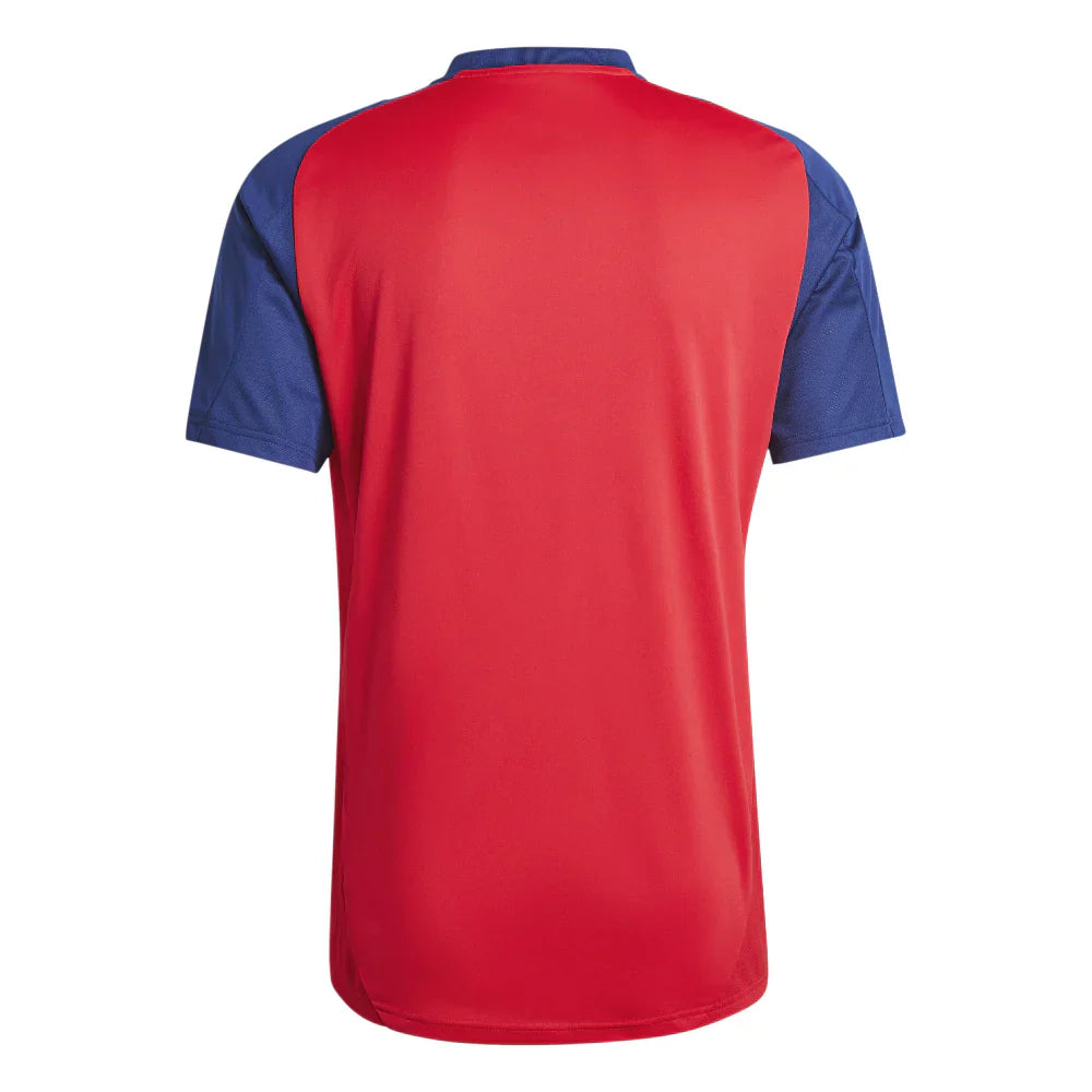 Jersey Spanien Training 2025 